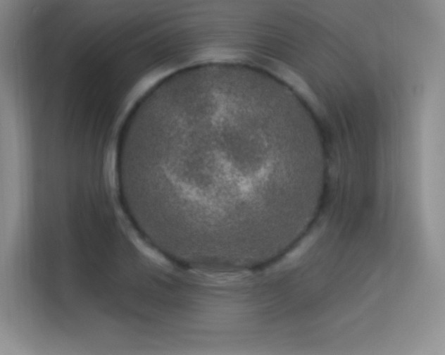 X0000113571030200909251130