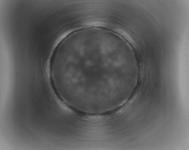 X0000113571031200909251130