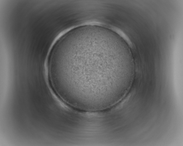 X0000113571032200909251130