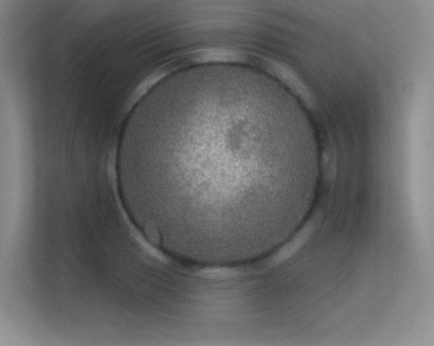 X0000113571033200909251130