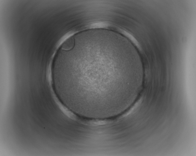X0000113571034200909251130