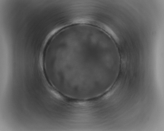 X0000113571035200909251130
