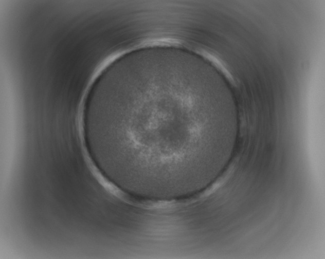 X0000113571038200909251130