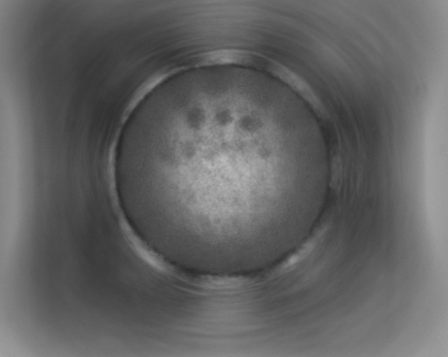 X0000113571039200909251130