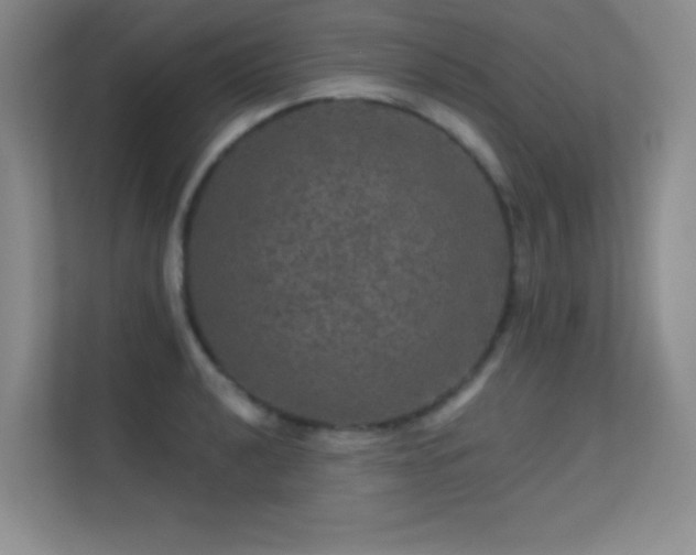 X0000113571040200909251130