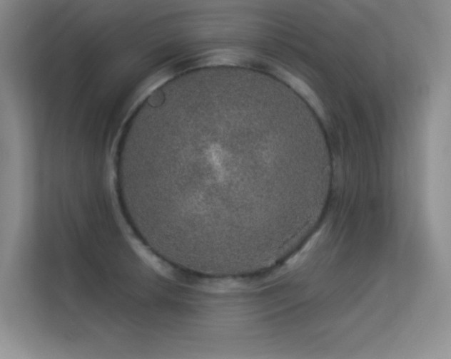 X0000113571042200909251130
