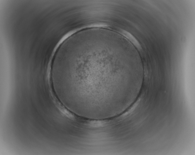 X0000113571044200909251130