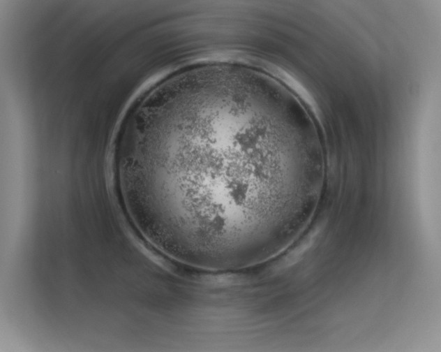 X0000113571045200909251130