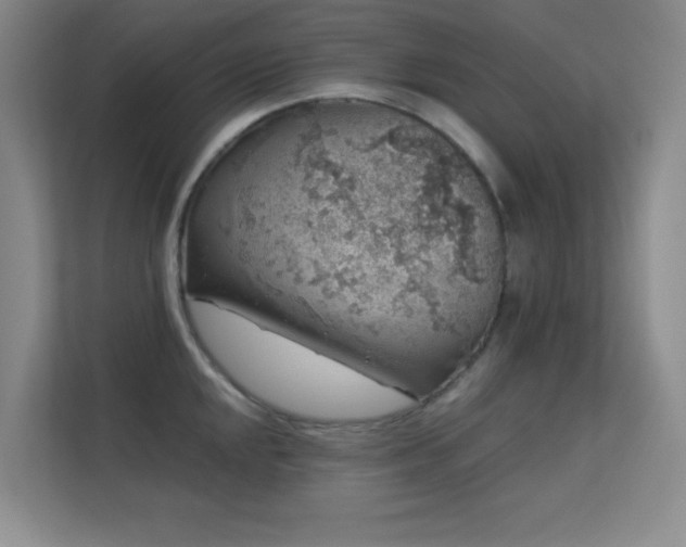 X0000113571048200909251130
