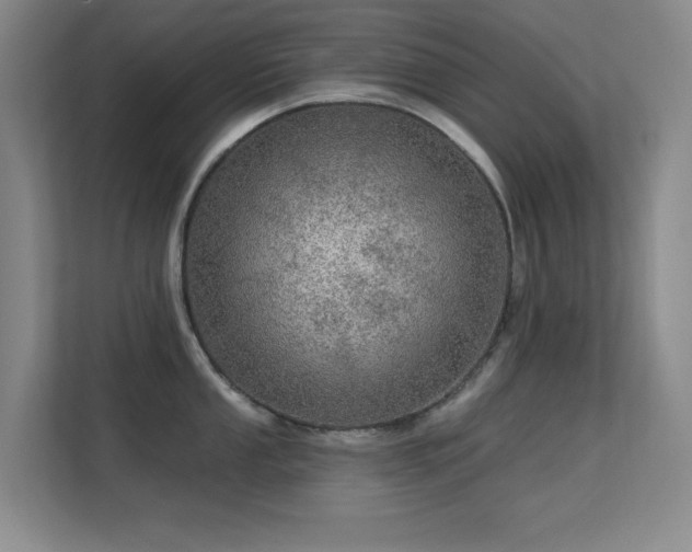 X0000113571053200909251130