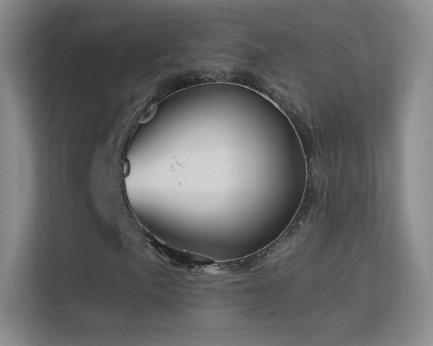 X0000113571057200909251130