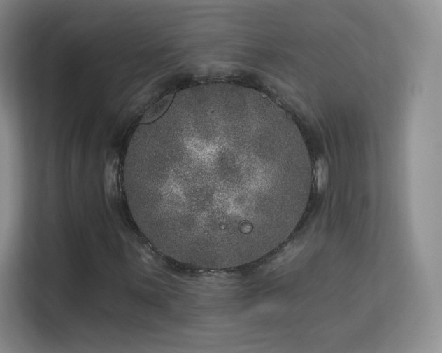 X0000113571059200909251130