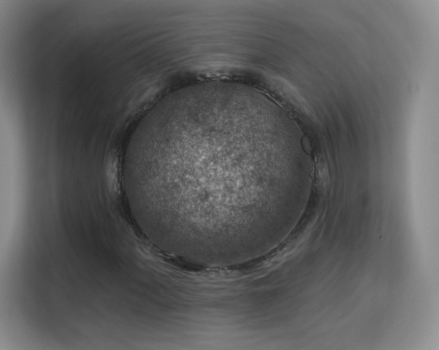 X0000113571060200909251130