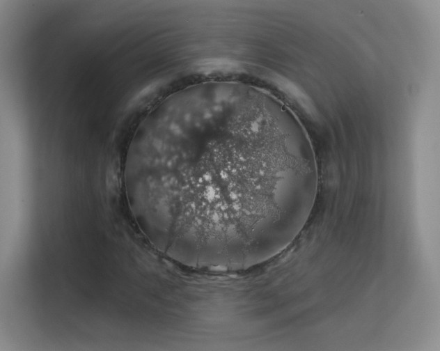 X0000113571063200909251130