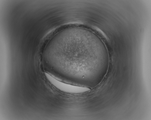 X0000113571064200909251130