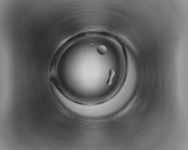 X0000113571065200909251130