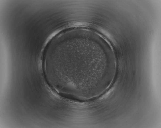 X0000113571066200909251130