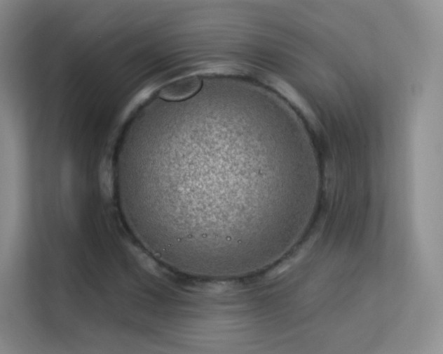 X0000113571067200909251130