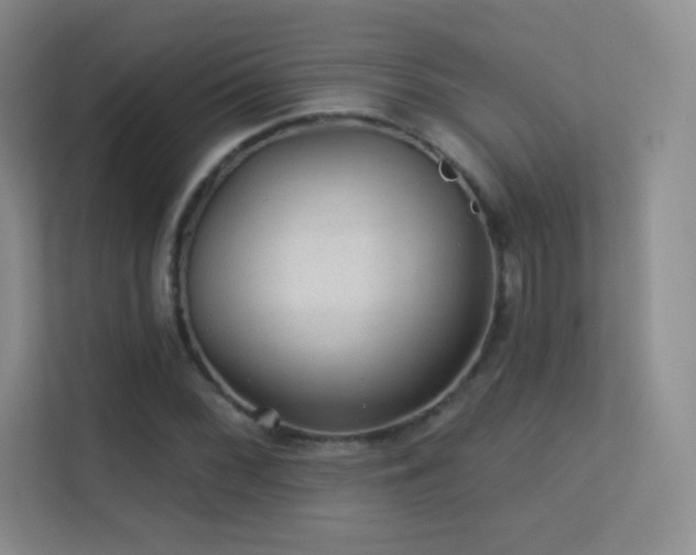 X0000113571068200909251130