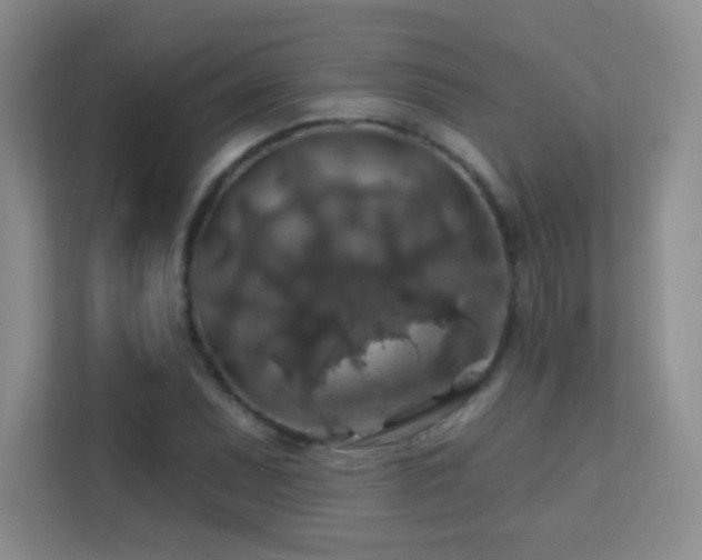 X0000113571071200909251130