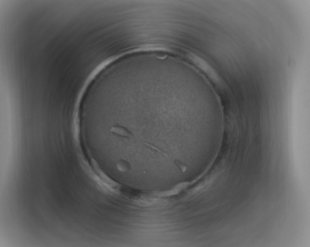 X0000113571076200909251130