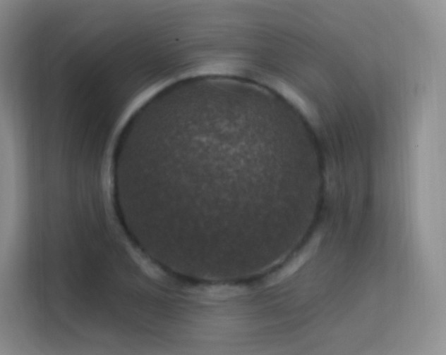 X0000113571077200909251130