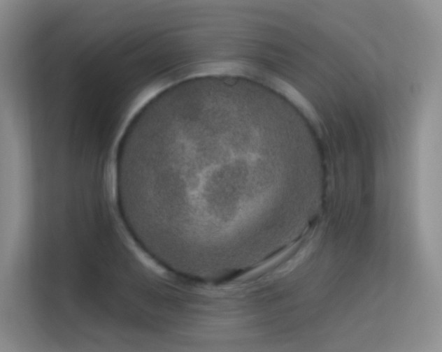 X0000113571079200909251130