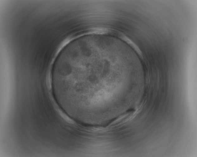 X0000113571083200909251129