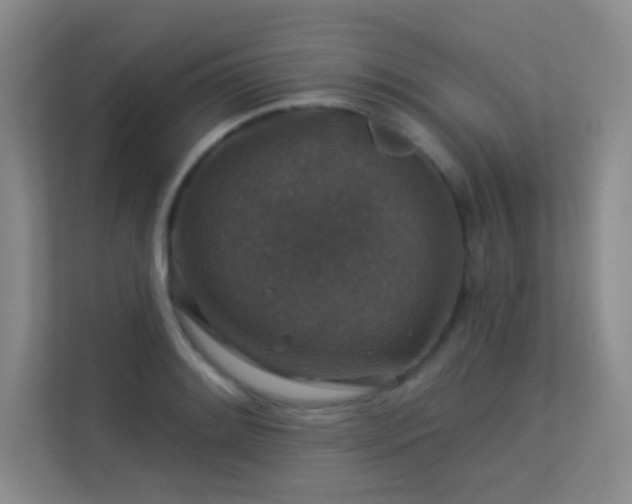 X0000113571084200909251129