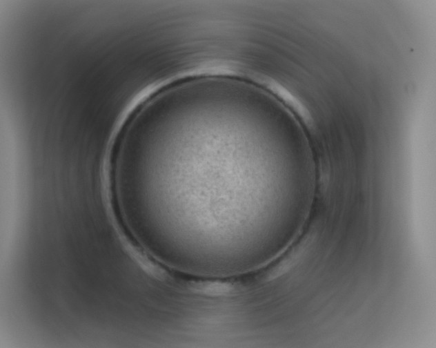 X0000113571085200909251129