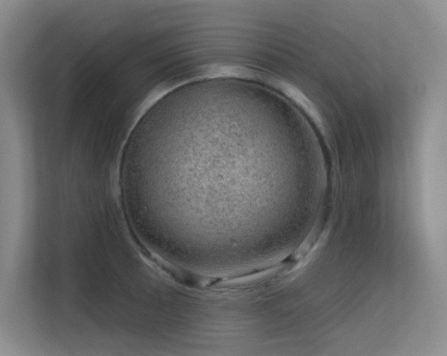 X0000113571089200909251129