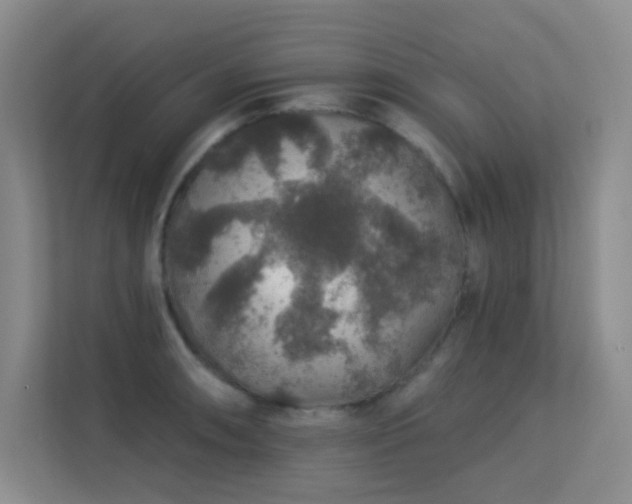 X0000113571090200909251129