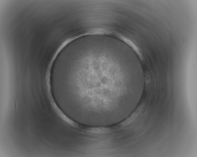 X0000113571091200909251129