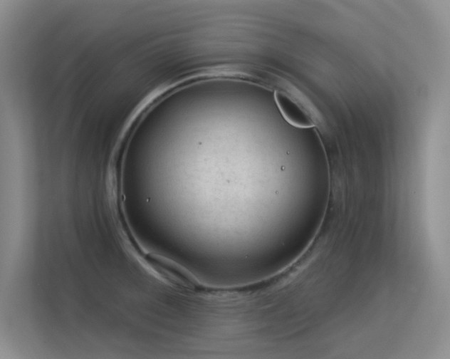 X0000113571092200909251129