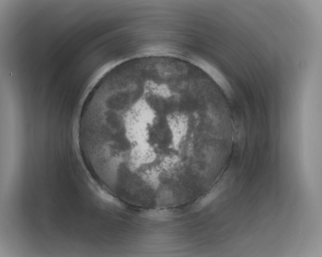 X0000113571094200909251129