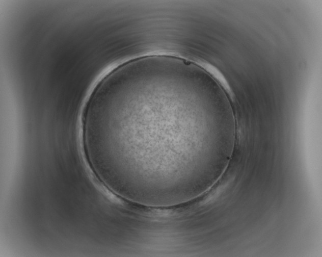 X0000113571096200909251129