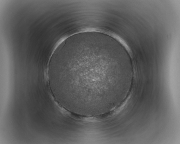X0000113571097200909251129