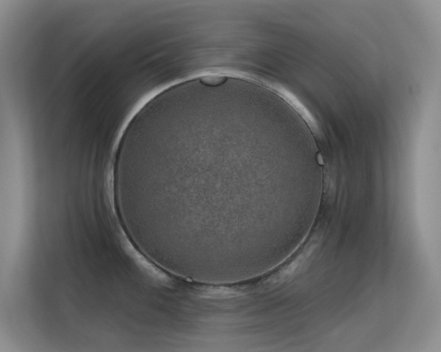 X0000113571100200909251129