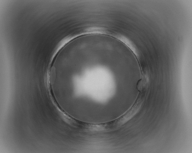 X0000113571101200909251129