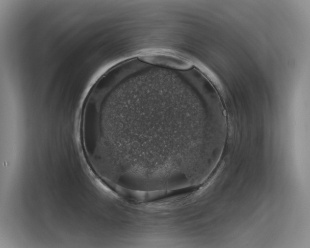 X0000113571102200909251129