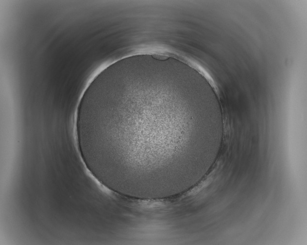 X0000113571103200909251129