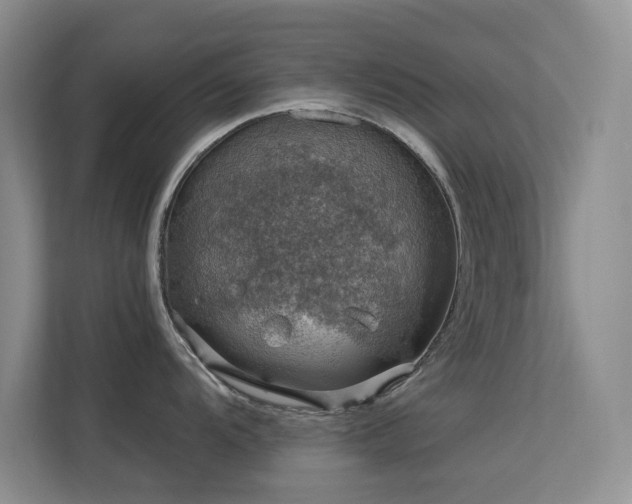 X0000113571104200909251129