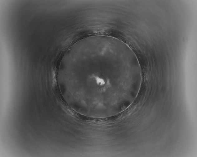 X0000113571106200909251129