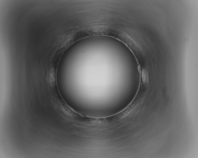X0000113571107200909251129