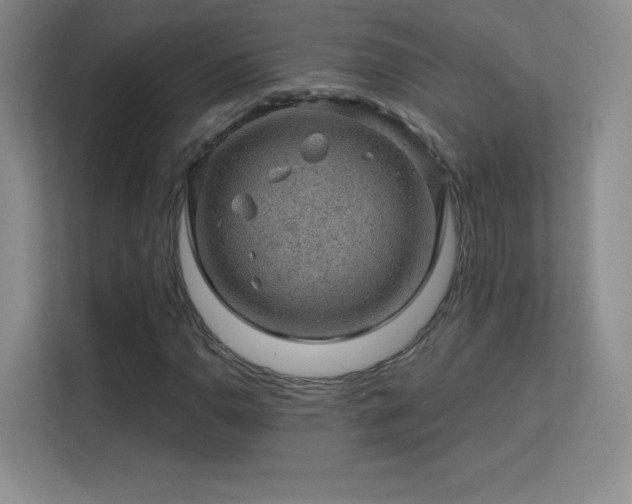 X0000113571110200909251129