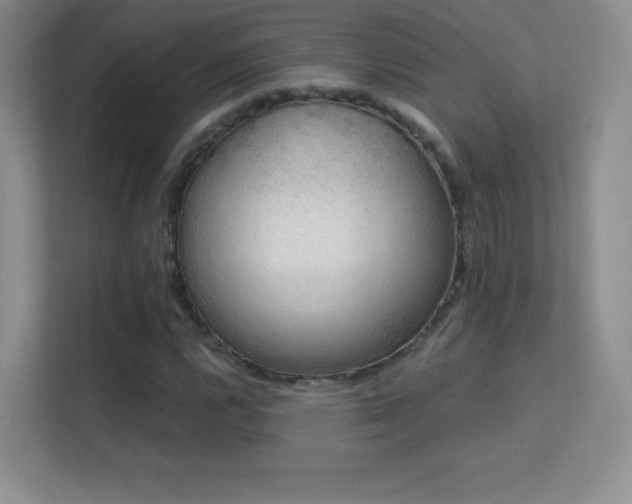X0000113571112200909251129