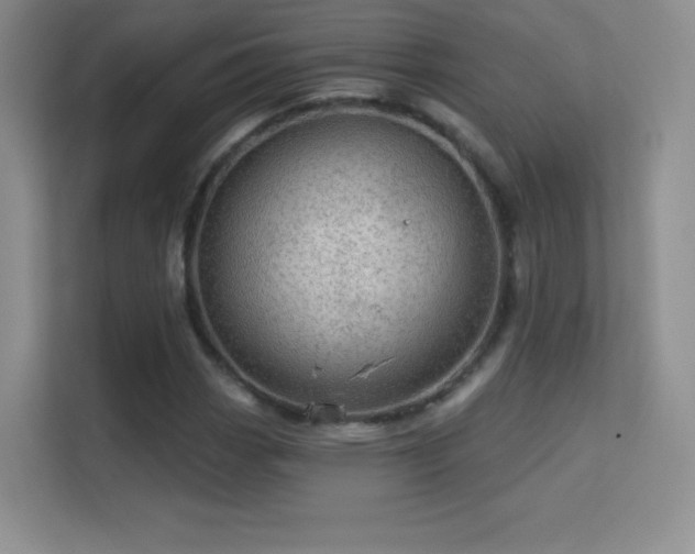 X0000113571113200909251129