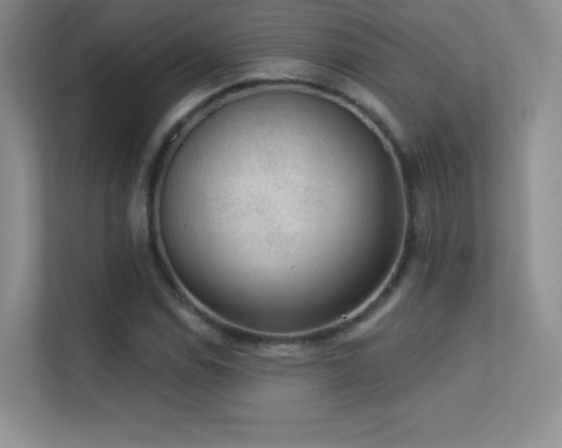 X0000113571114200909251129