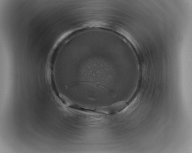 X0000113571115200909251129
