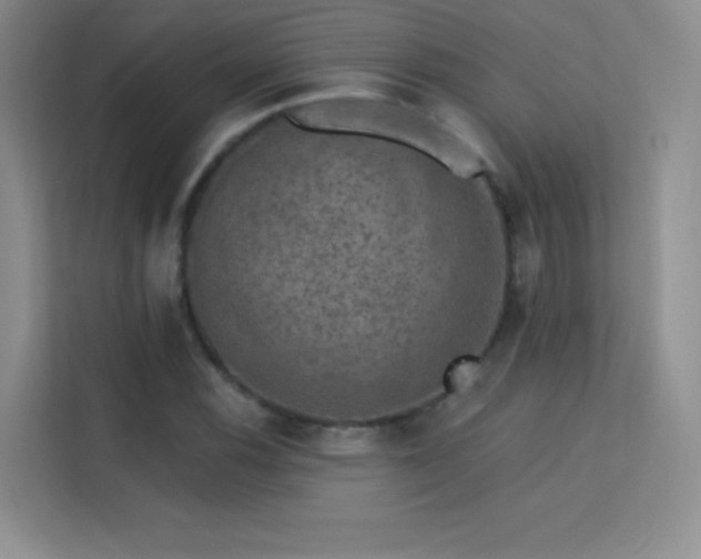 X0000113571116200909251129